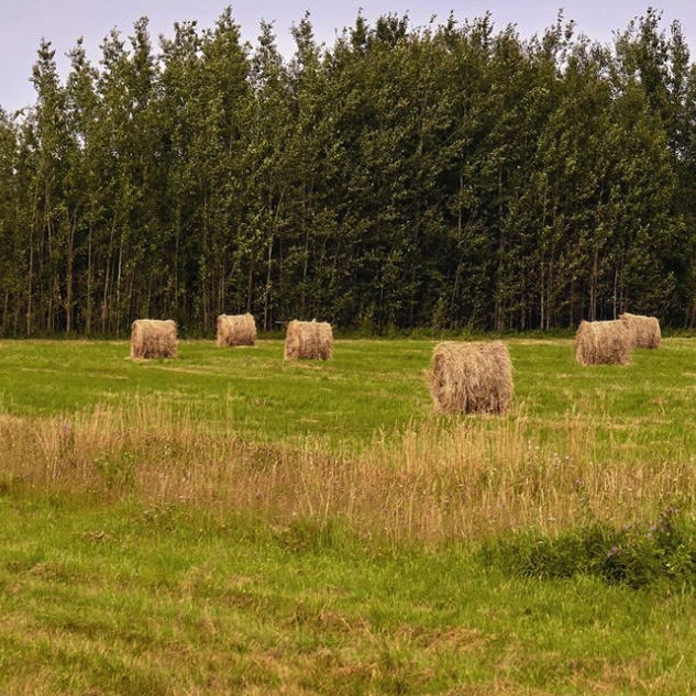 Agricultural Products 0005