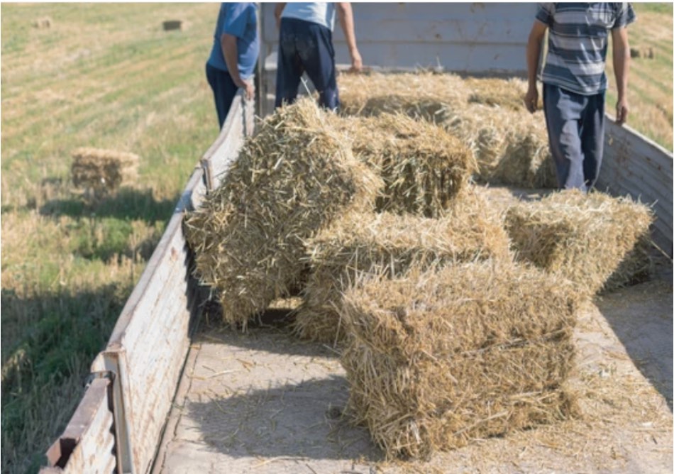 Sisal Baler Twine