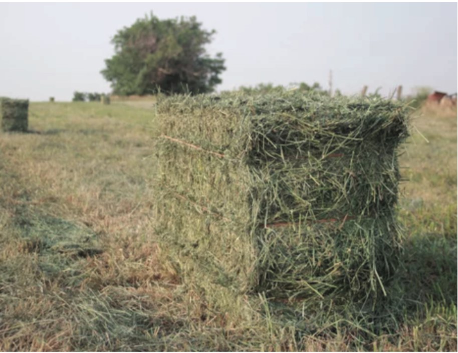 Sisal Baler Twine