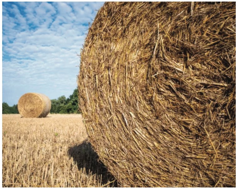 Hay Bales