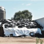 Silage Sheets Product Info