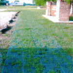 Park recreation area Anti-Fatigue Mat Installation